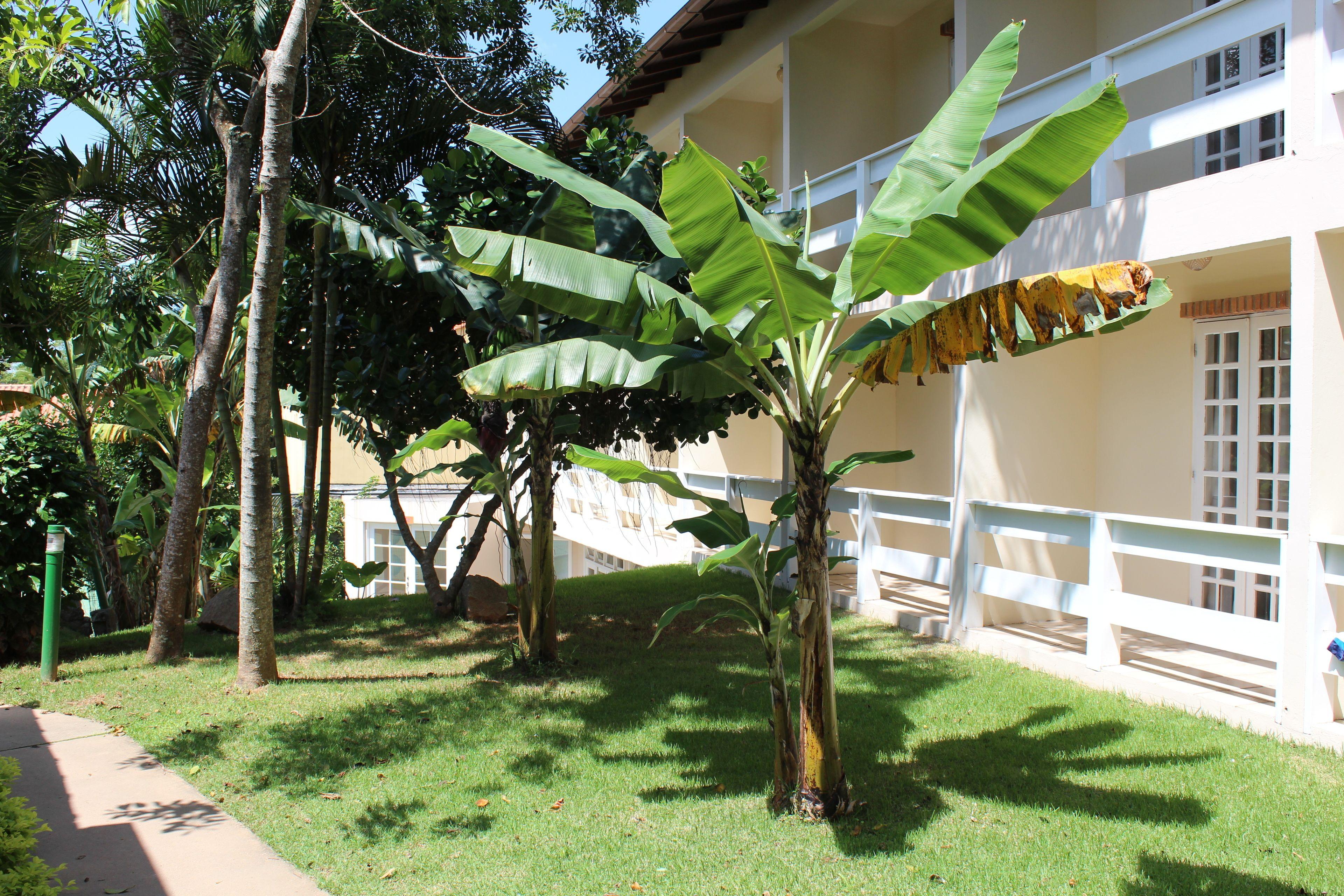 Hotel Sao Sebastiao Da Praia — Fotos 3